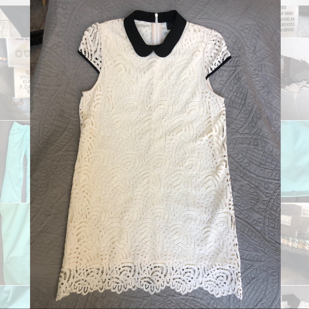 🚨FLASH SALE🚨RARE Zara Guipure Peter Pan Collar